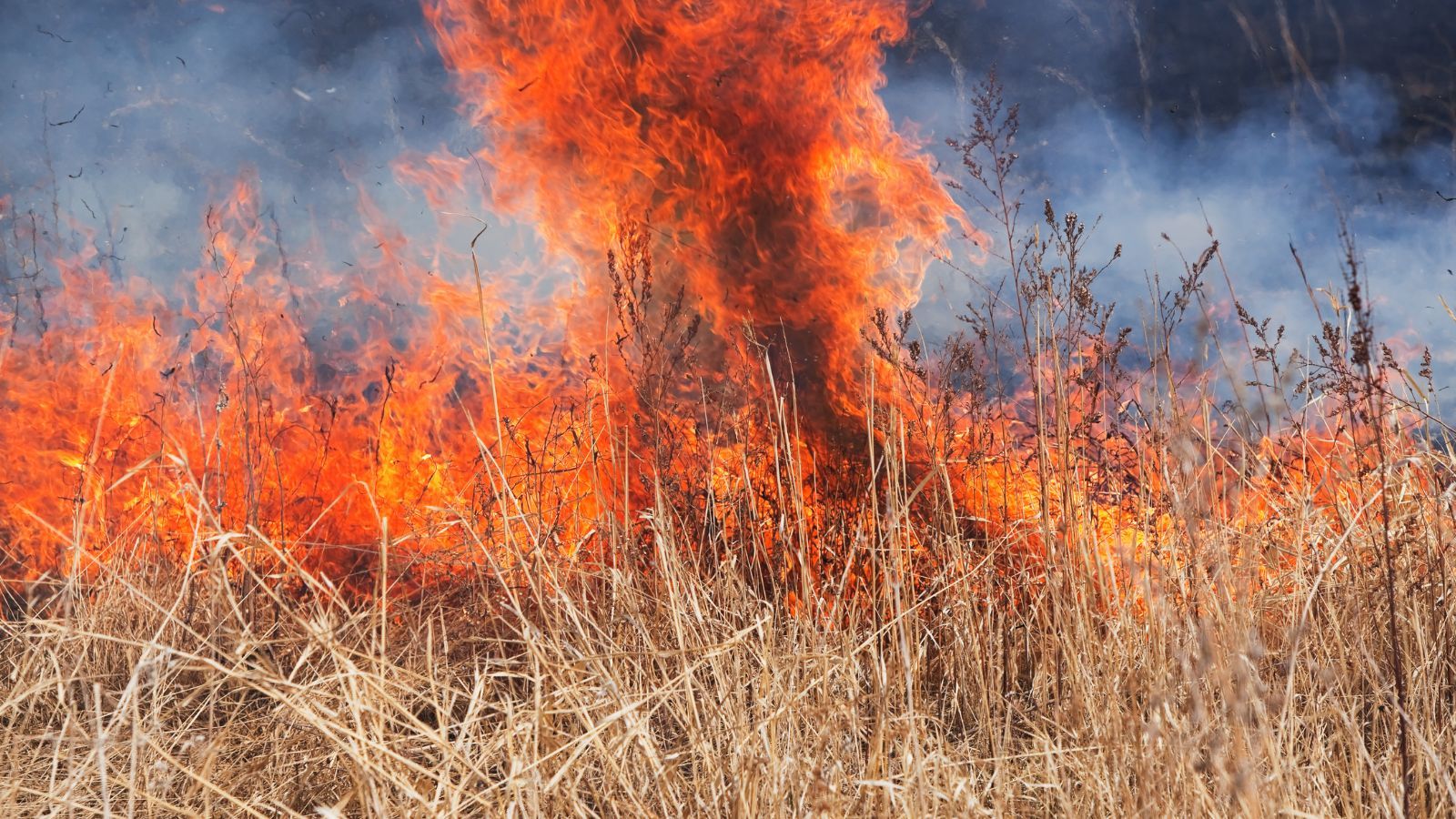 Nawet 30 tys. zł kary dla właścicieli działek. Rząd ucina proceder, zmiana po 27 latach