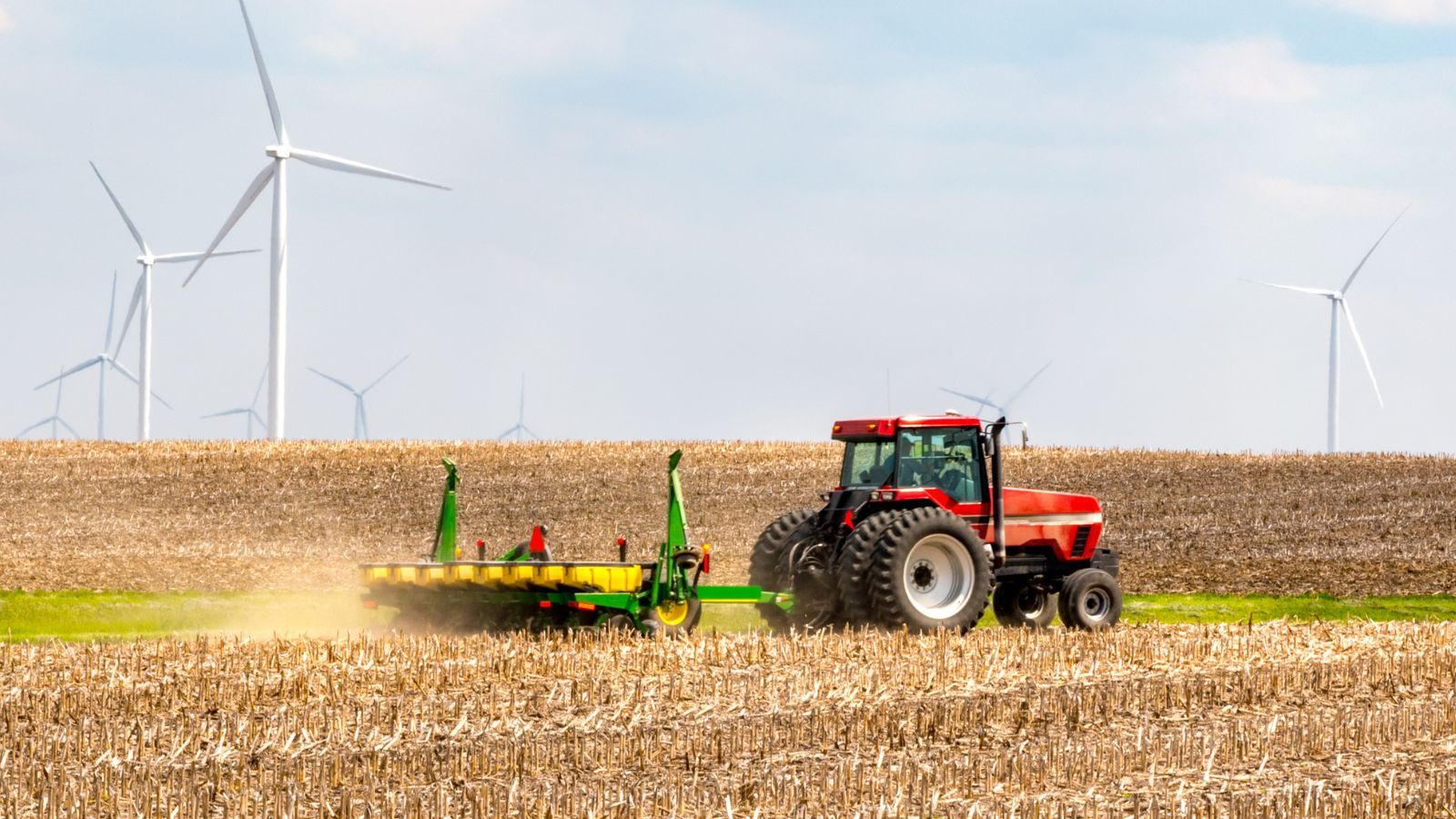 Nawet 10 tys. zł nie tylko za opiekę nad zwierzętami. Wiosną pilnie poszukiwani pracownicy na wsi
