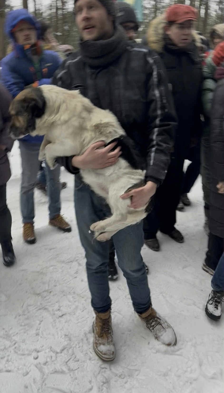 Ludzie nie mogli dłużej wytrzymać, wyszli na ulice. Ogromna awantura, Tusk potwierdził zamknięcie