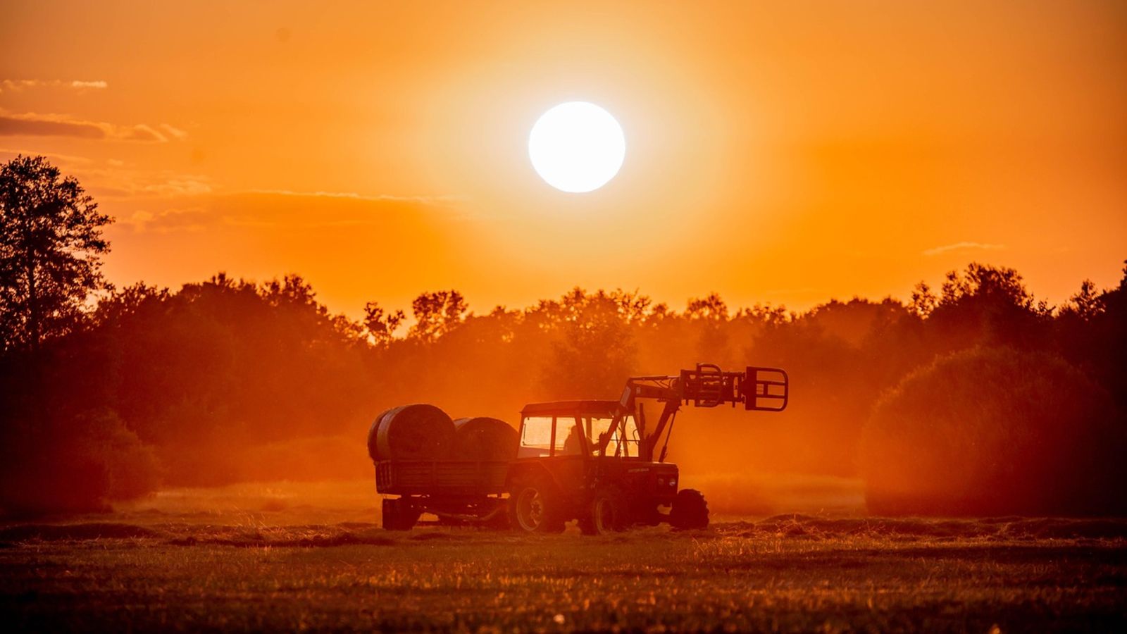 Z tych programów w 2026 r. rolnicy już nie skorzystają. ARiMR wykreśla je z harmonogramu