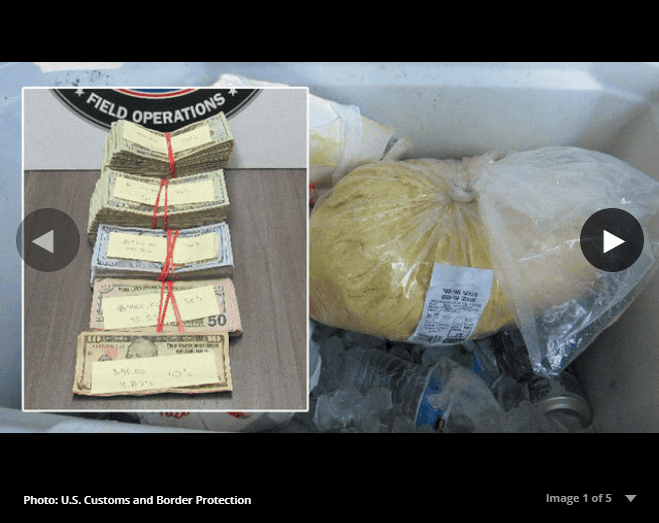 Pracownik DHL nie wierzył w to, co widzi. W środku maskotki odkryto prawdziwą fortunę