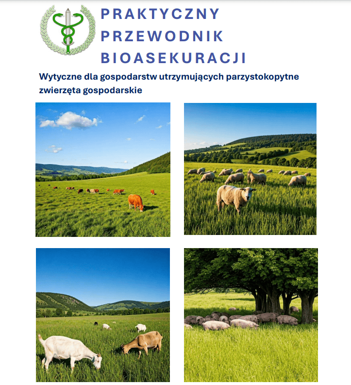 przewodnik.png