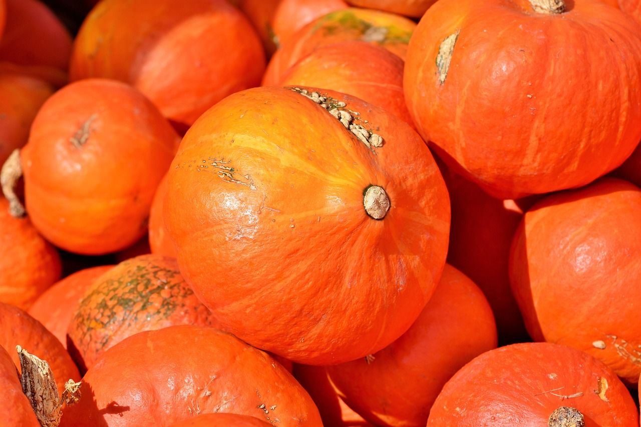 pumpkin-3735640_1280.jpg