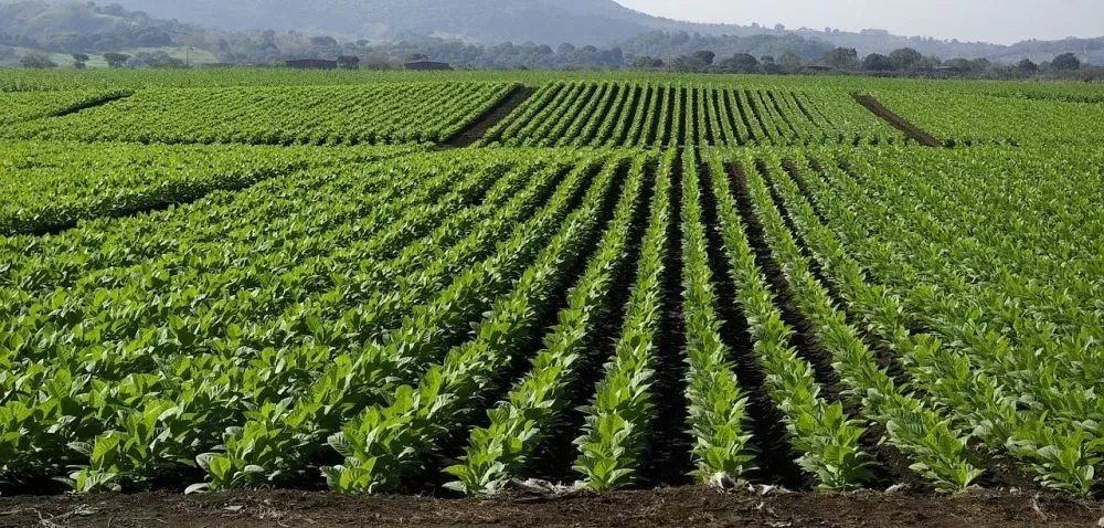 Redakcja Rolnik Info