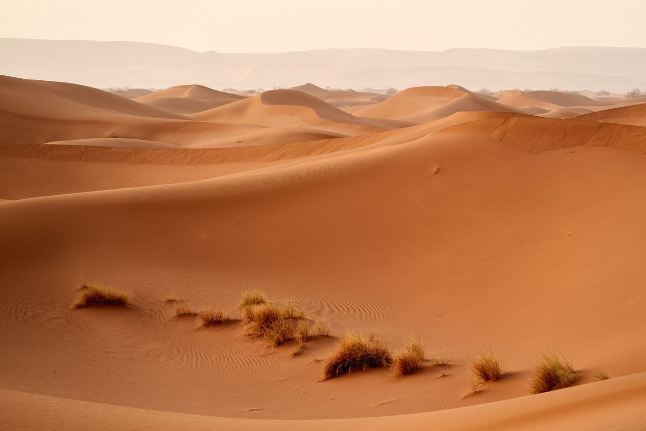 Sahara