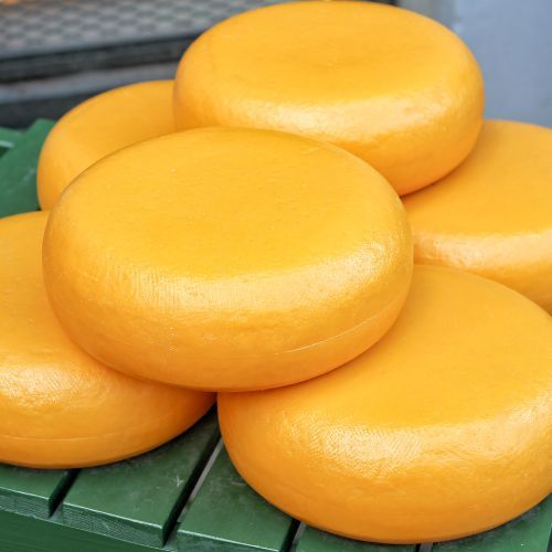 gouda