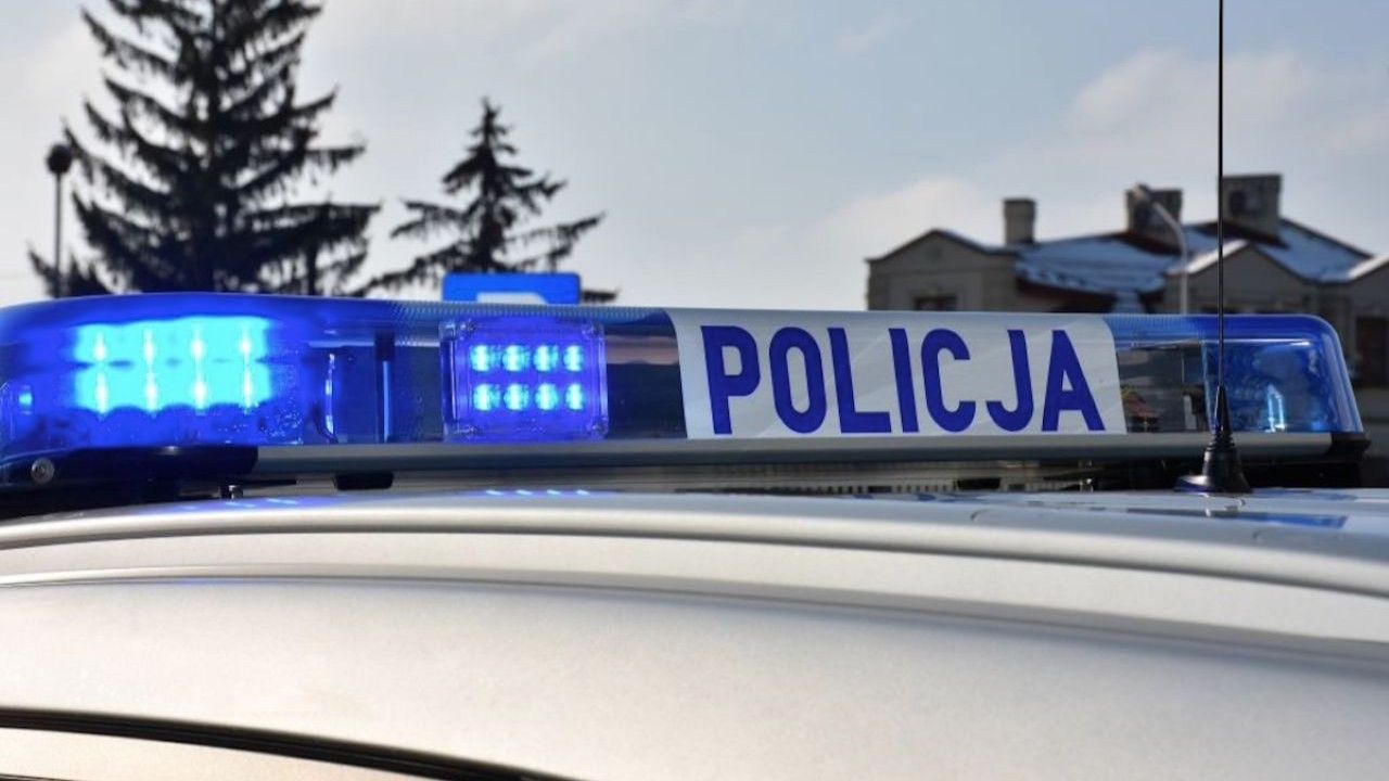 policja