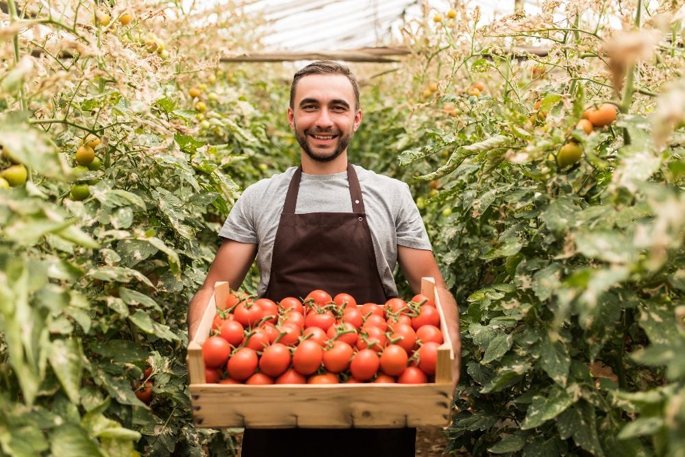 Wspólna Polityka Rolna – fundament bezpieczeństwa żywnościowego Polski i Europy