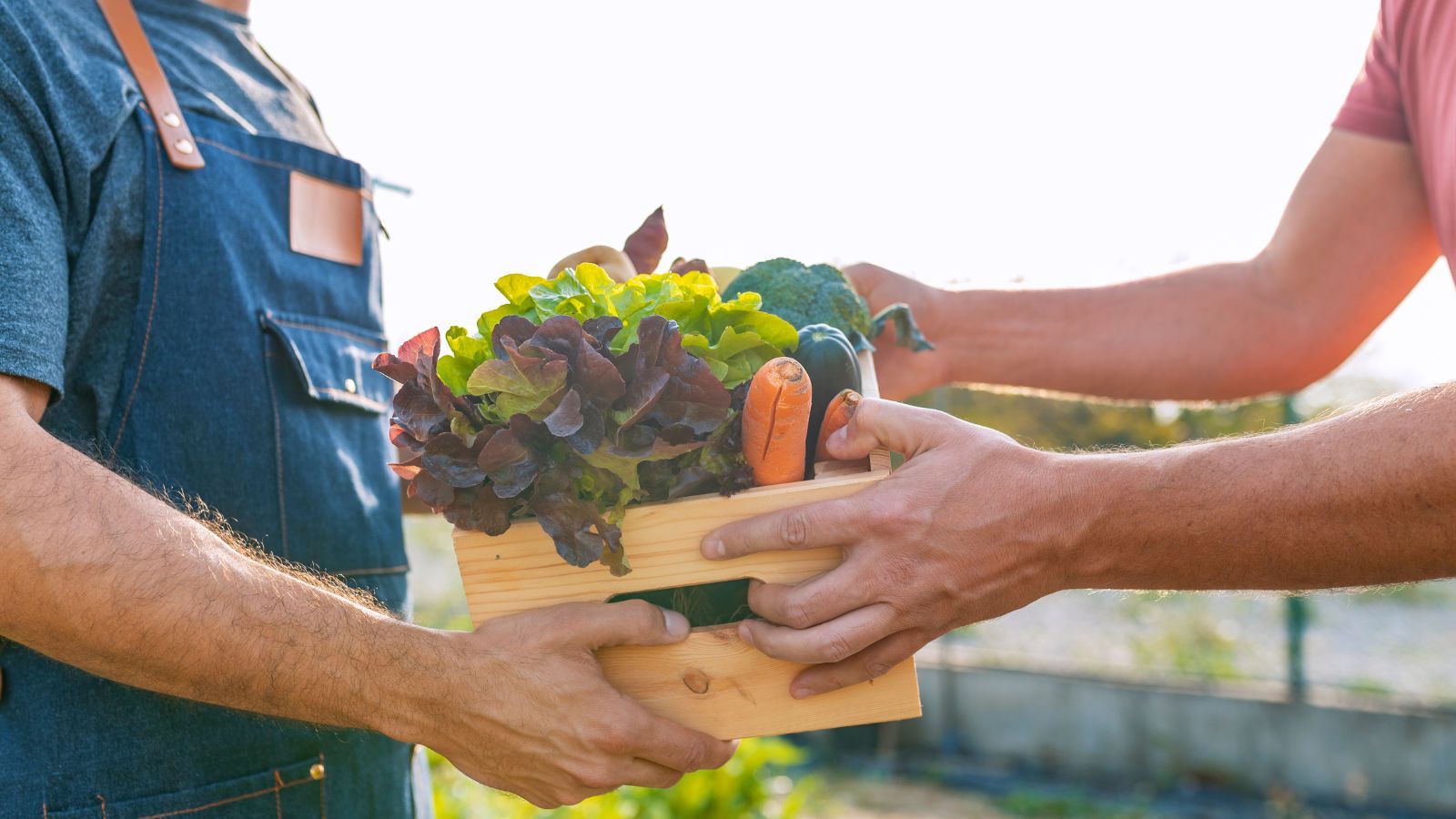 Na konta rolników spływają miliardy złotych. Ta grupa jest traktowana priorytetowo