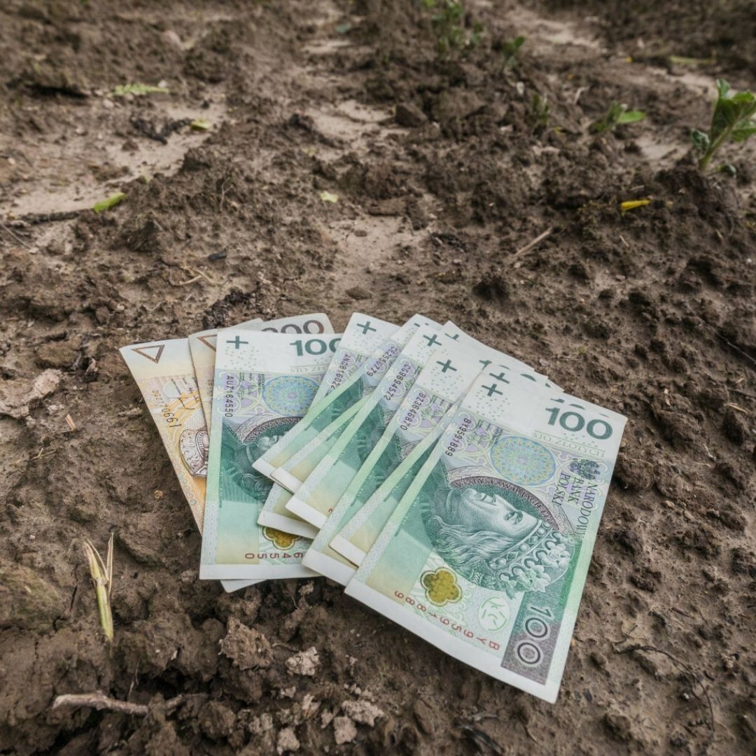 15 września to ważny termin dla rolników. Nie dołączysz tego do dokumentów, stracisz dopłatę