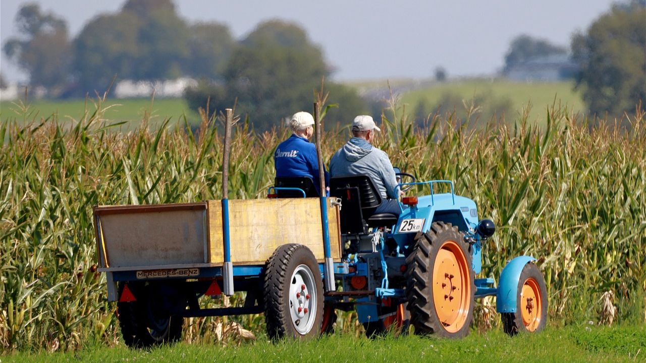 rolnicy, traktor