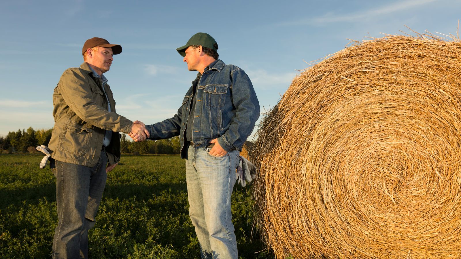 Zacznie się 1 kwietnia. Składka do KRUS pójdzie w górę, Polacy będą niezadowoleni