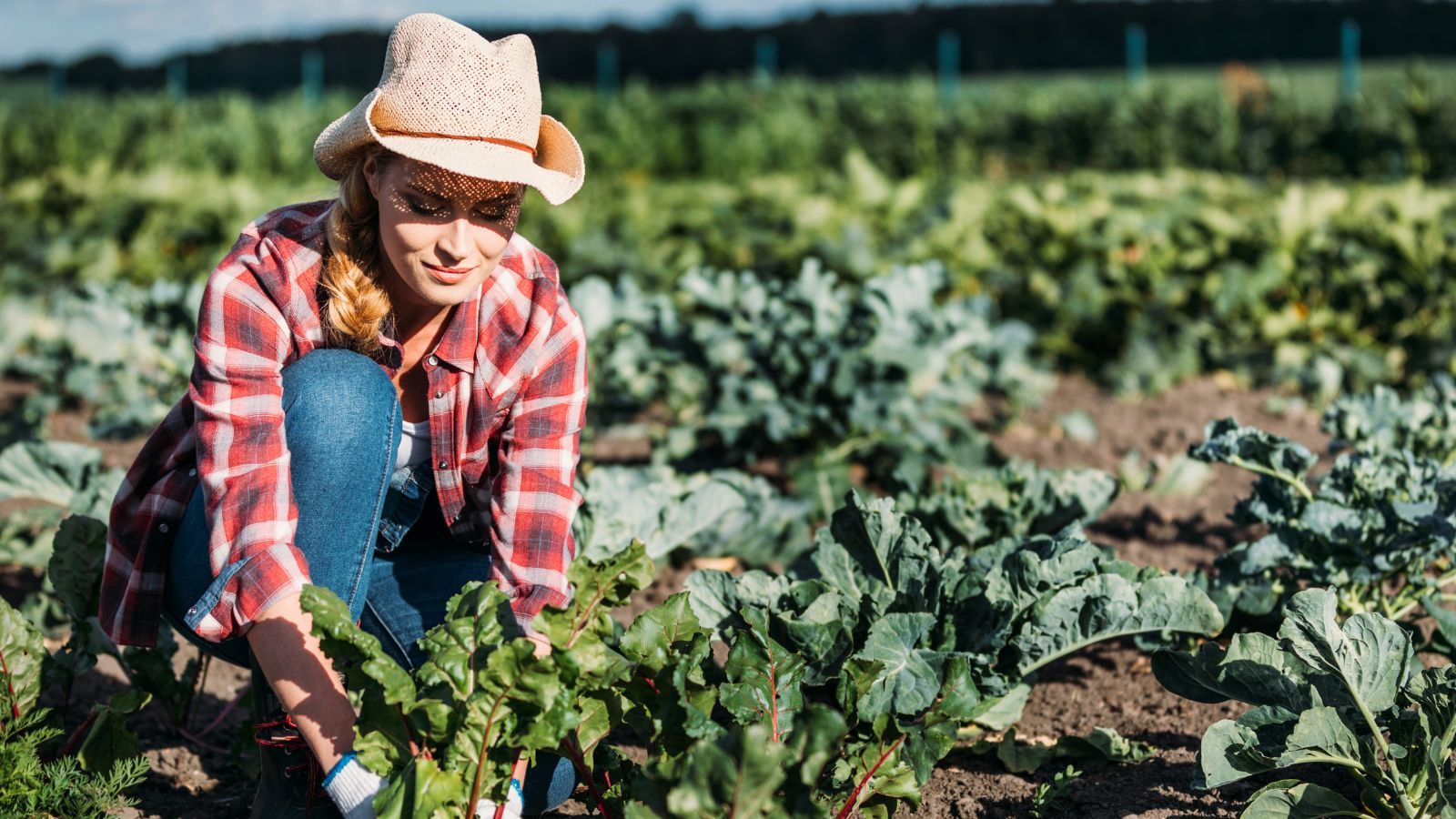 Unia zagląda w papiery. Rolnik z maturą dostanie nawet kilkaset tysięcy złotych
