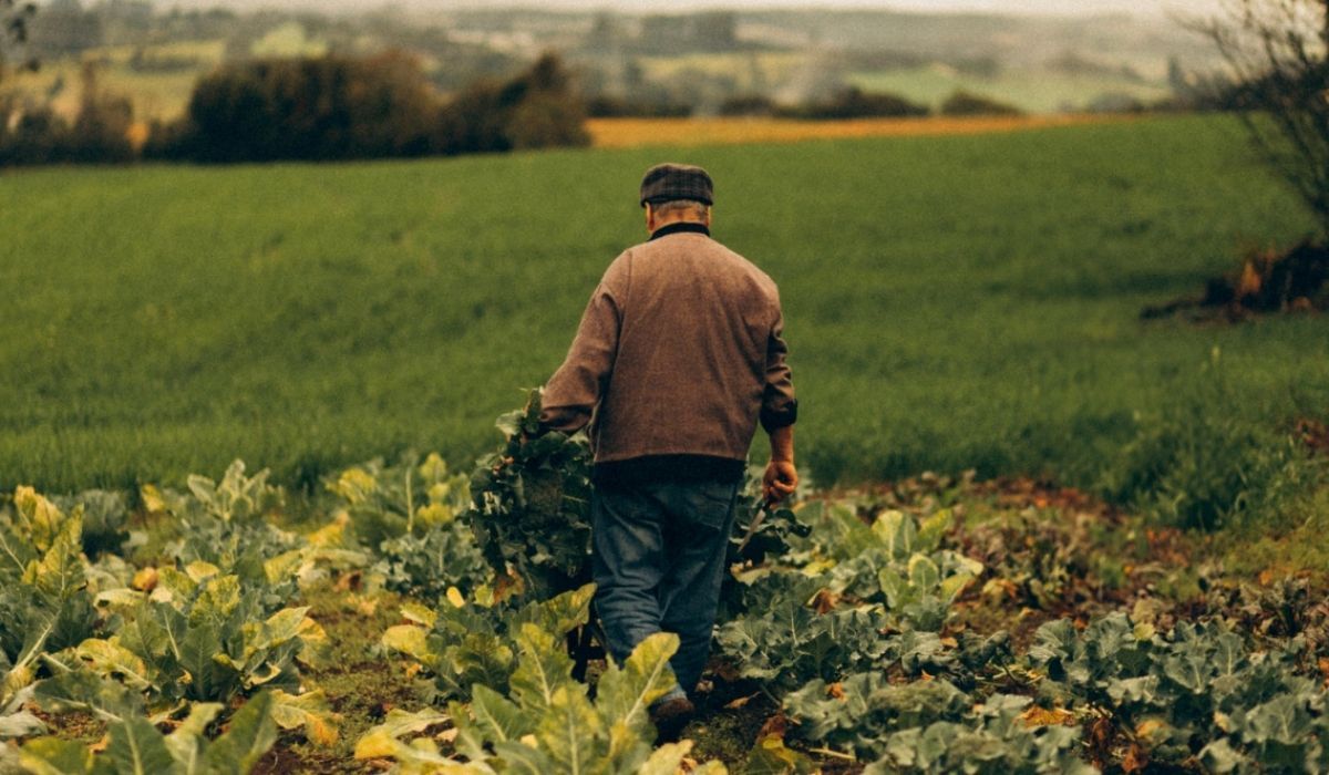 350 zł co miesiąc z KRUS, w 2026 jeszcze więcej. Te osoby mogą ubiegać się o specjalny dodatek