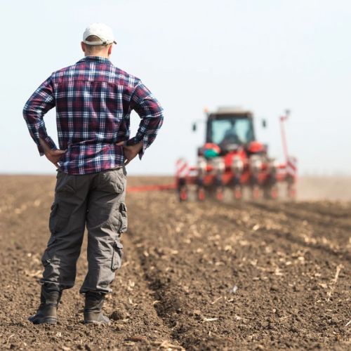 Nie ma kto zbierać owoców. „Chcą zarabiać 500 zł, a ich wydajność jest bardzo słaba"