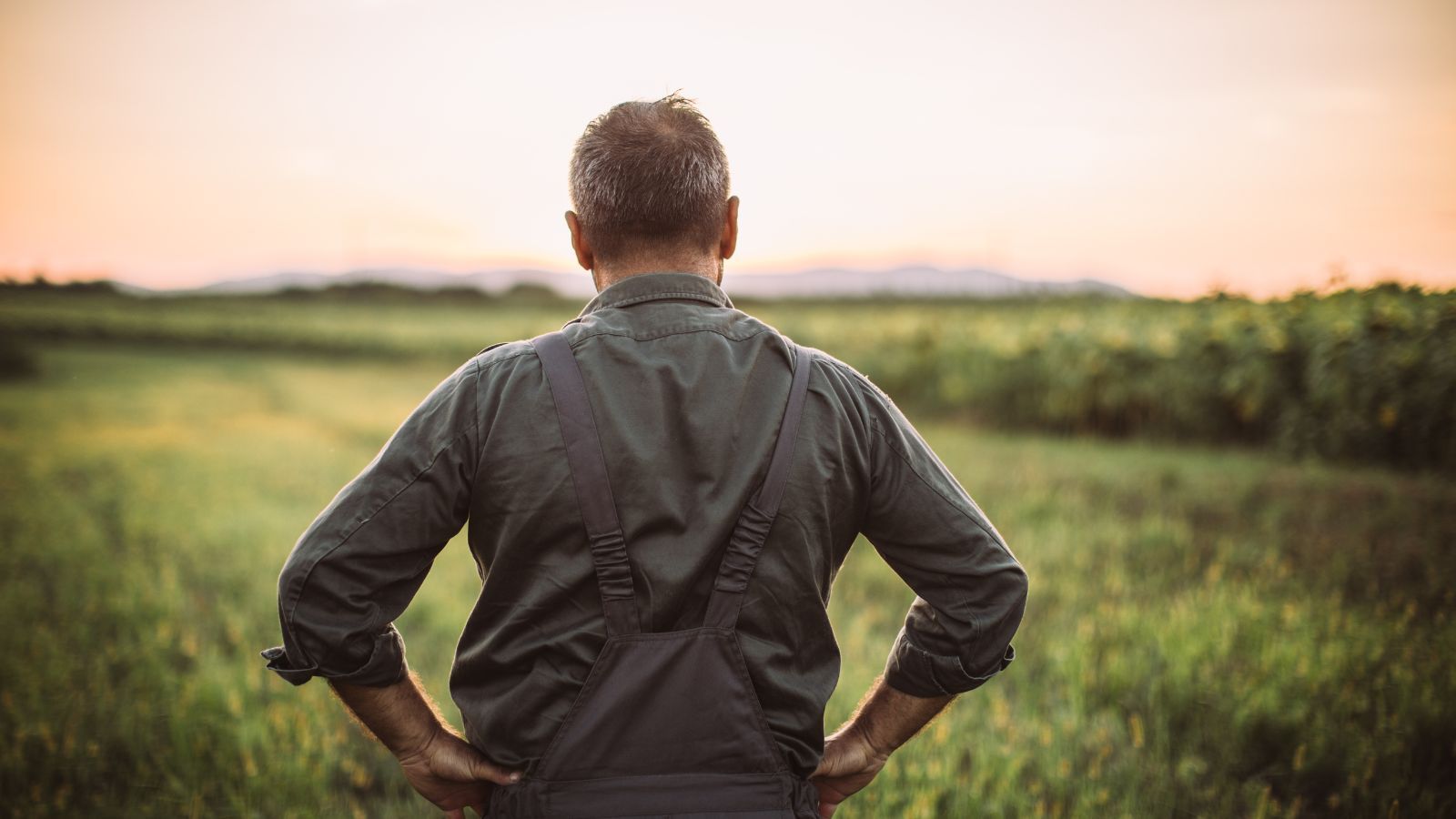 Tyle emerytury otrzyma rolnik po przepracowaniu 40 lat. Ta kwota to nie żart