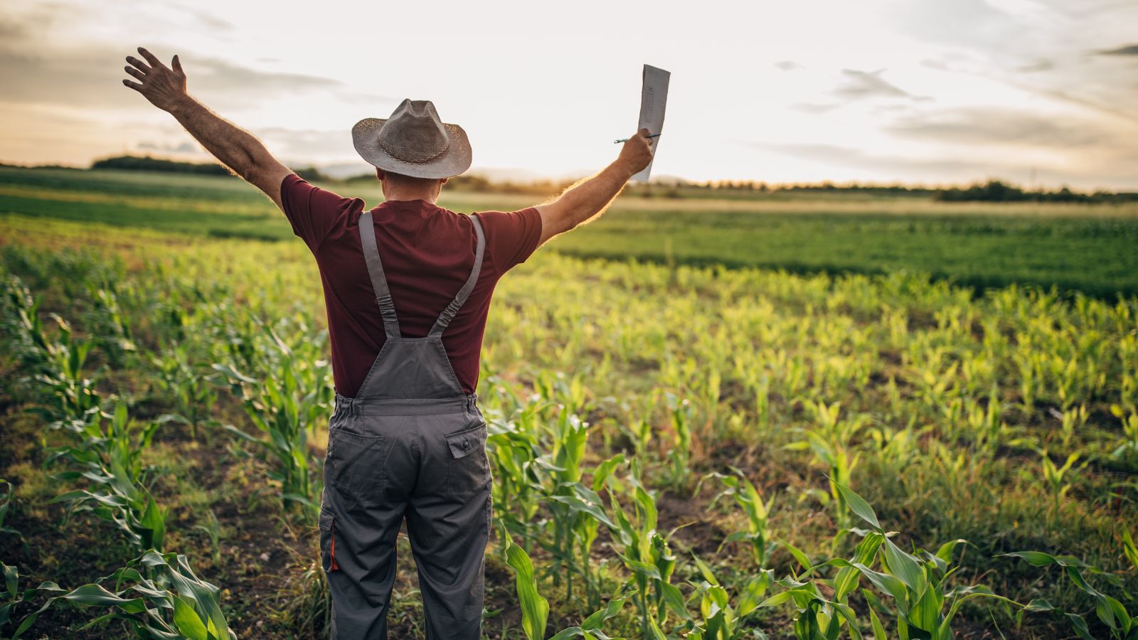 Surowe kary za takie korzystanie z traktora. Rolnicy mogą nawet stracić prawo jazdy