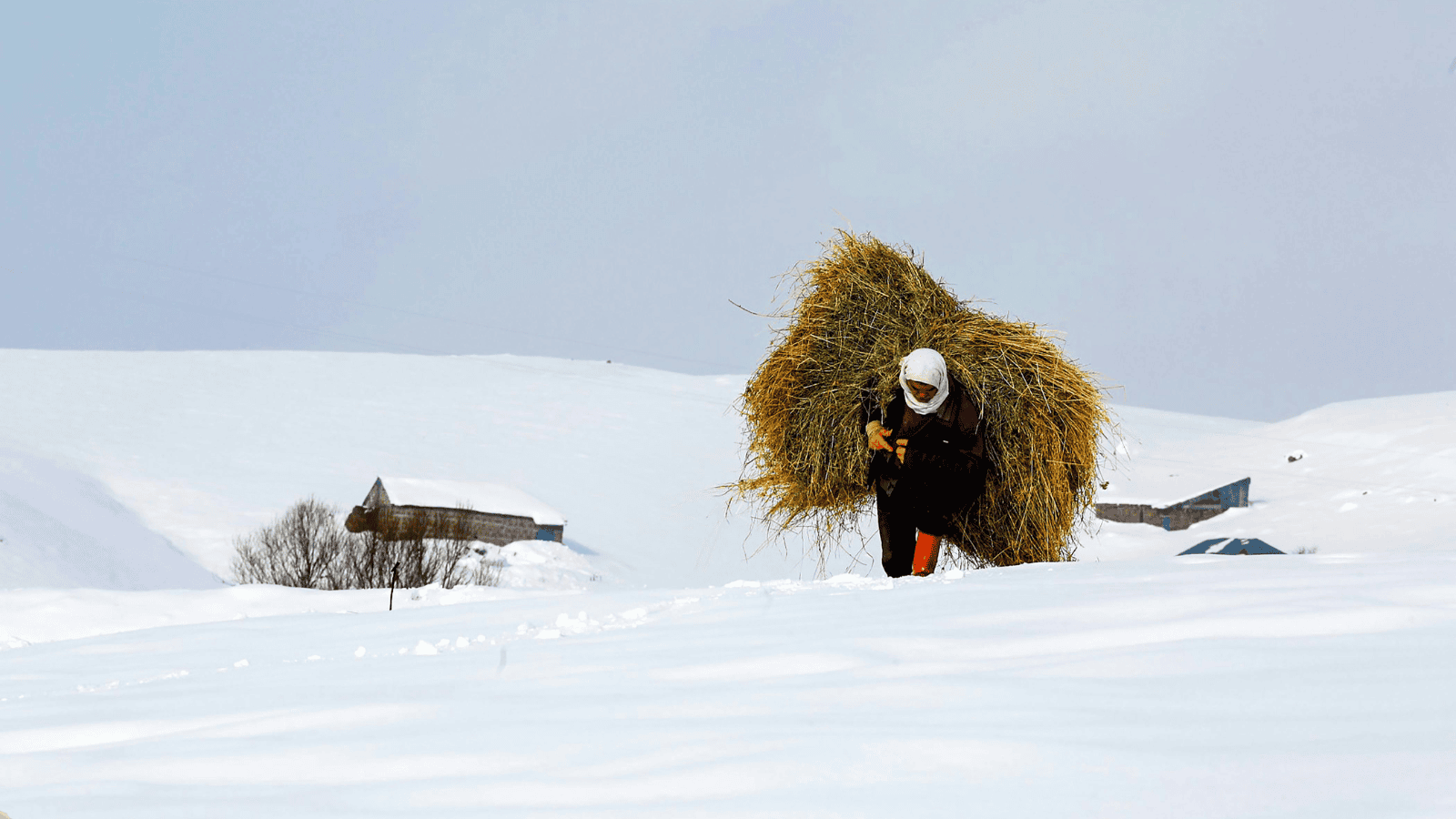 Redakcja Rolnik Info