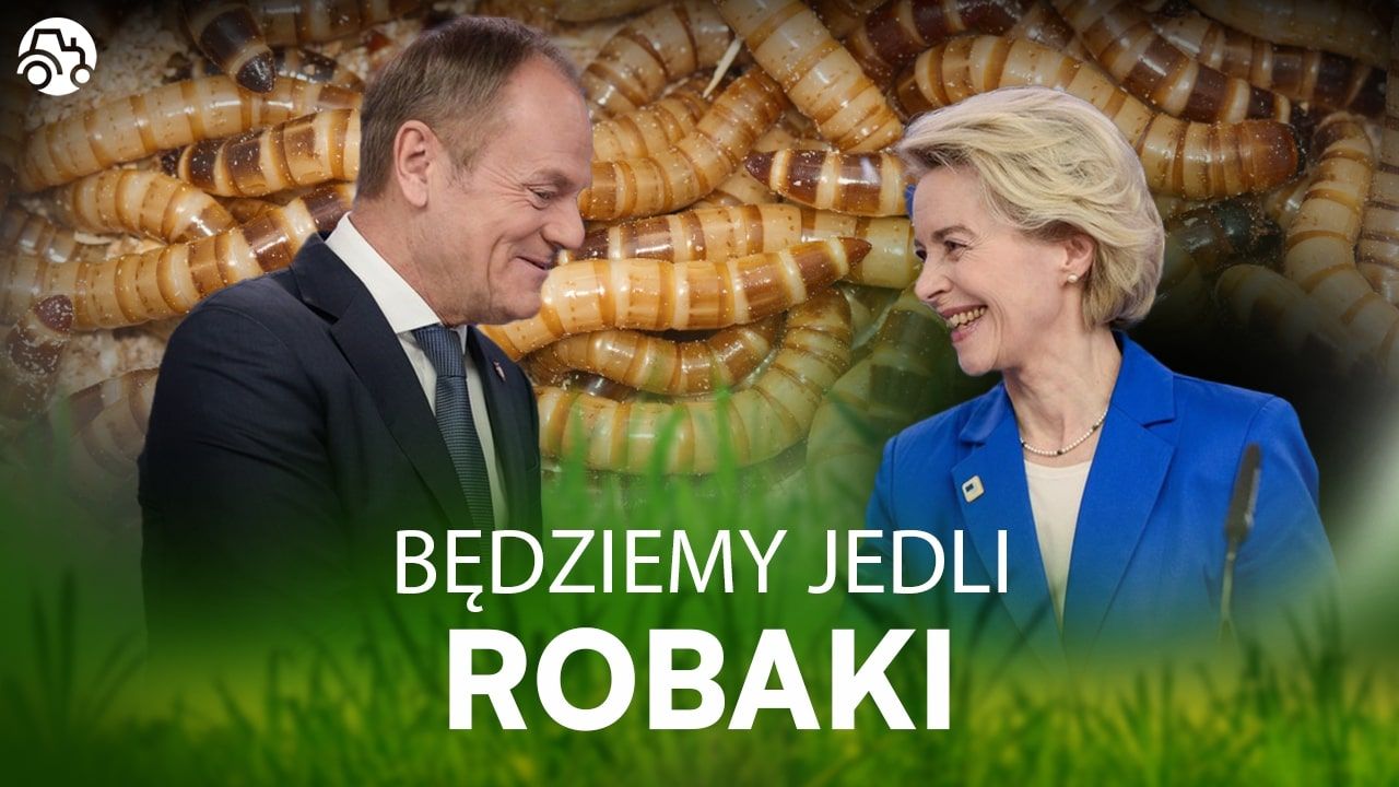 Donald Tusk, Ursula von der Leyen