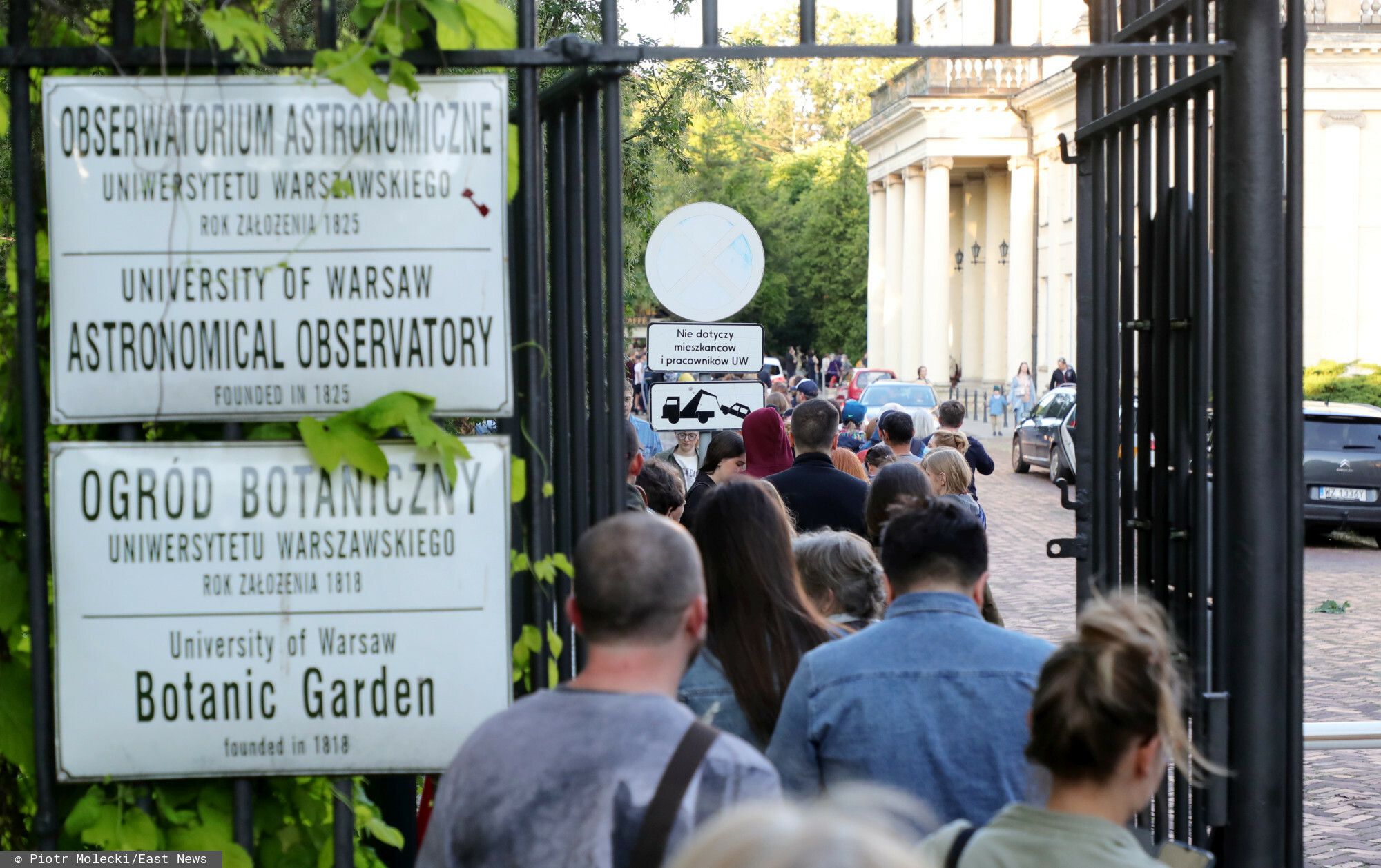 ogród botaniczny 
