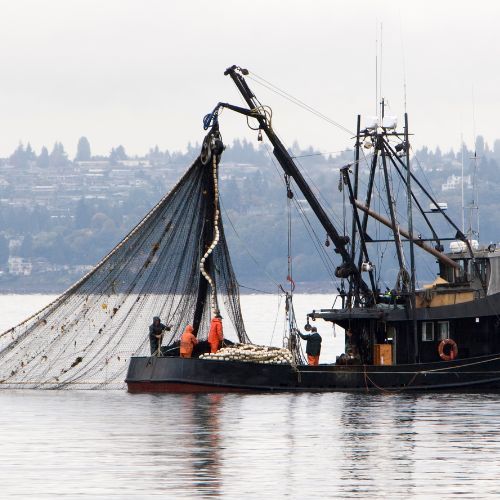 Wielkie zamieszanie. Niesłychane, kto zbliżył się do granicy polsko - rosyjskiej