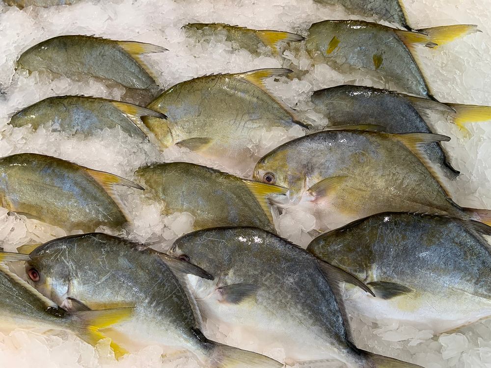 W wielu krajach jest zakazana, a Polacy wciąż się zajadają. GIS ostrzega