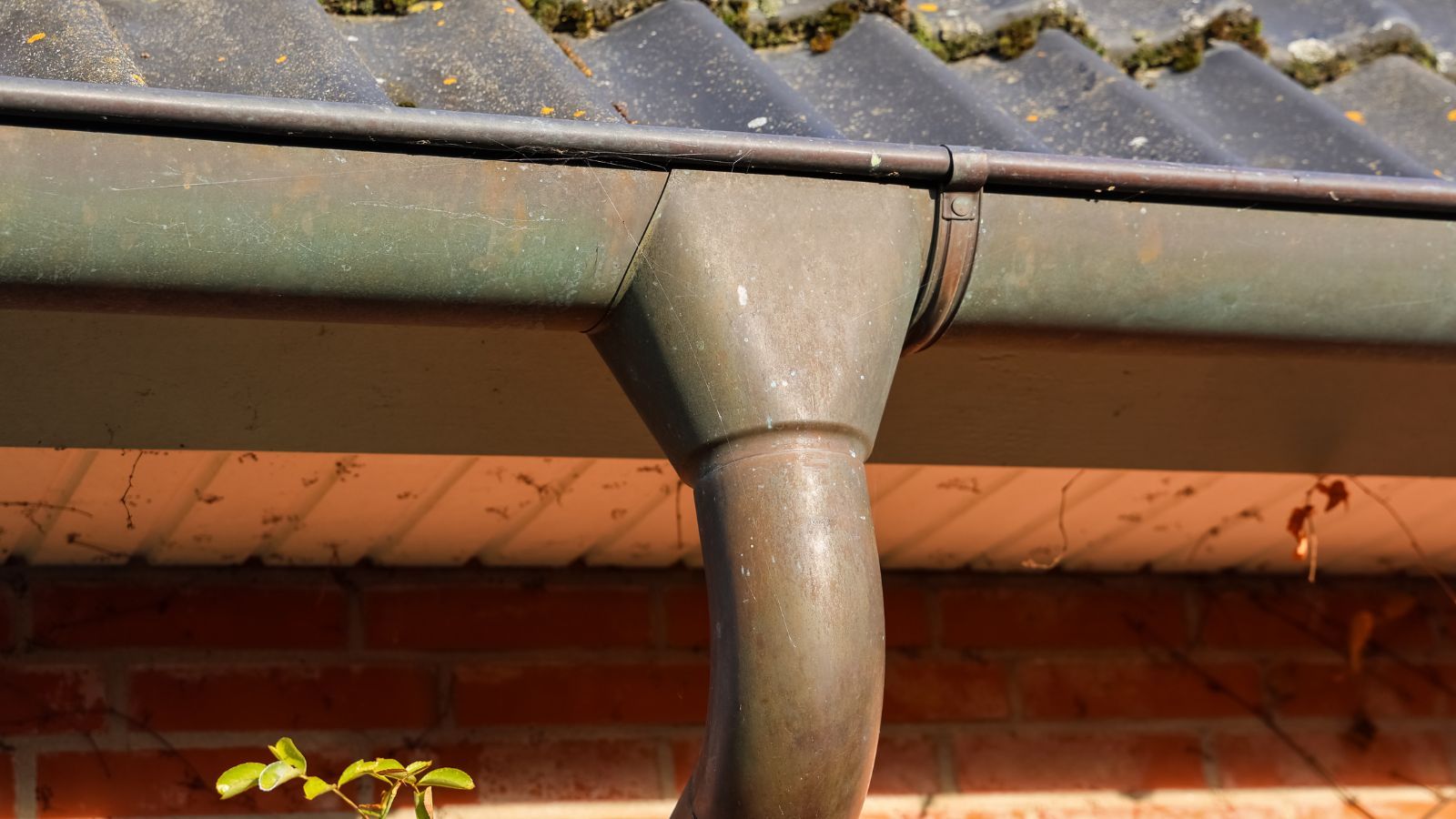 Wraca dopłata dla właścicieli domów. Nawet 8000 zł do wzięcia po spełnieniu warunków