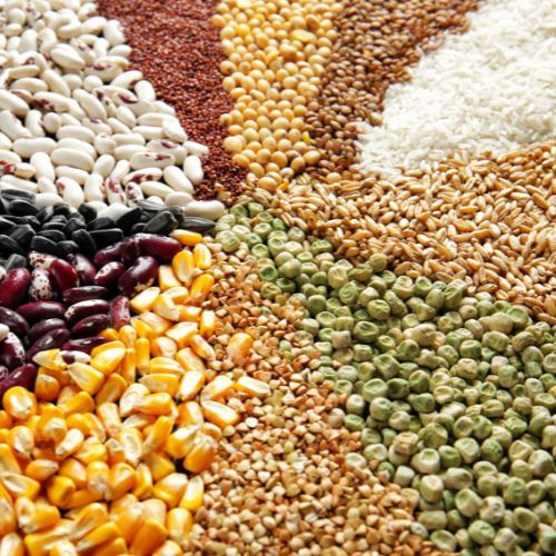 Przebadali ponad 150 próbek ryżu. Znaleźli rakotwórczą substancję