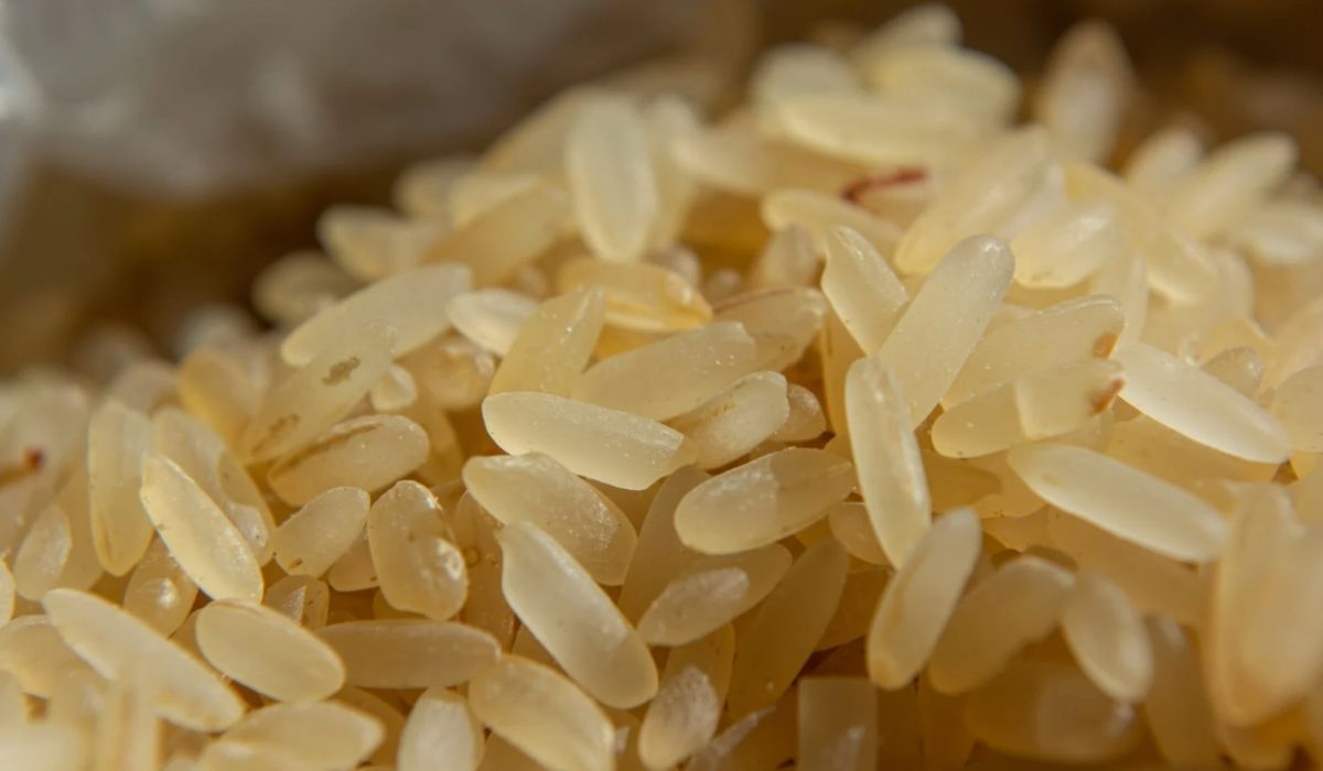 Obrzydliwe nagranie, znaleźli larwy w ryżu. Producent dał porażający komentarz