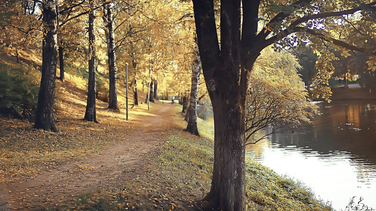 Sukces lekarzy. Wybudzili ze śmierci klinicznej dwuletniego Wojtka