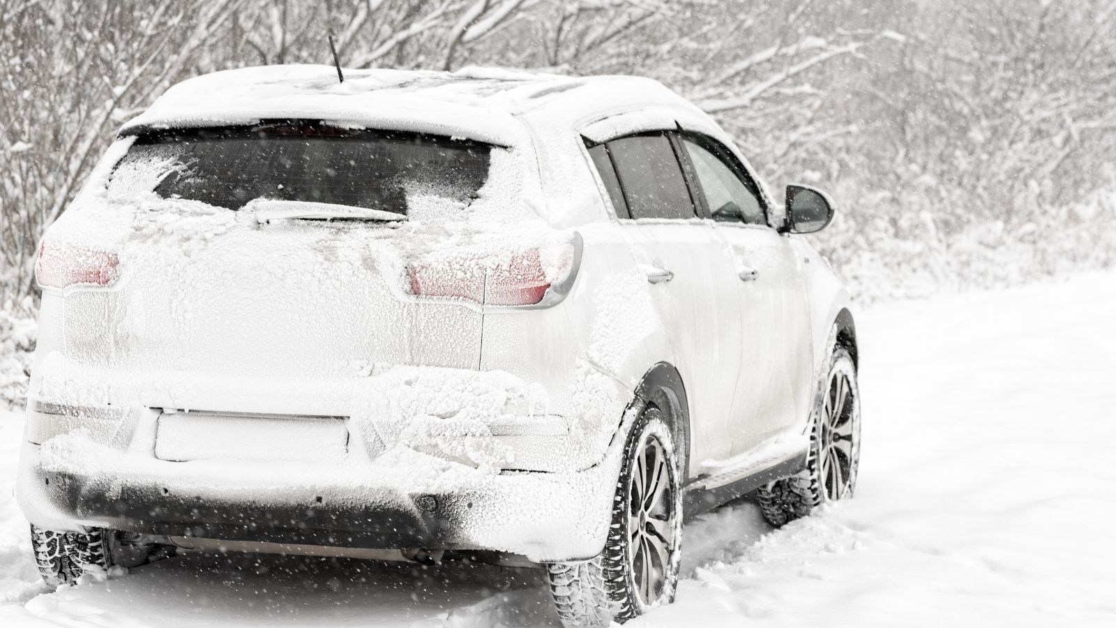 IMGW podało już prognozy na styczeń. Nie takiej pogody można się spodziewać po świętach