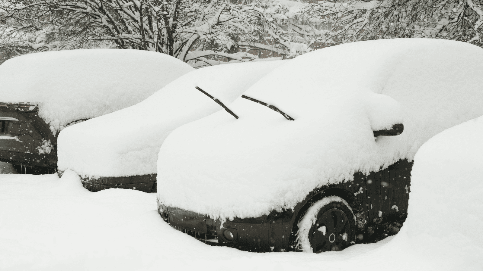40 aut uwięzionych w śniegu. Dramat kierowców, piaskarka i pług też się zakopały
