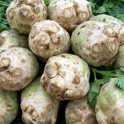 Wiele osób popełnia podstawowy błąd. To dlatego seler nie rośnie w korzeń