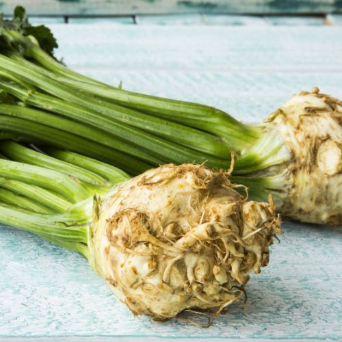 Wiele osób popełnia podstawowy błąd. To dlatego seler nie rośnie w korzeń