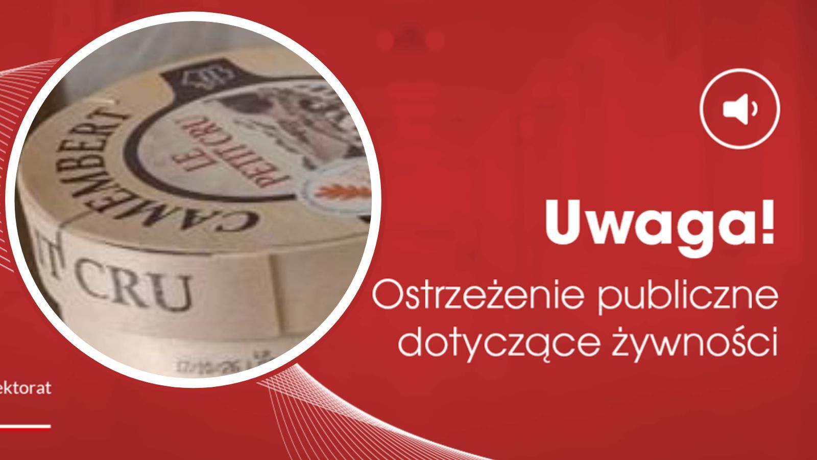 GIS pilnie wycofuje dwa rodzaje sera. Spożycie grozi zatruciem i ostrą niewydolnością nerek