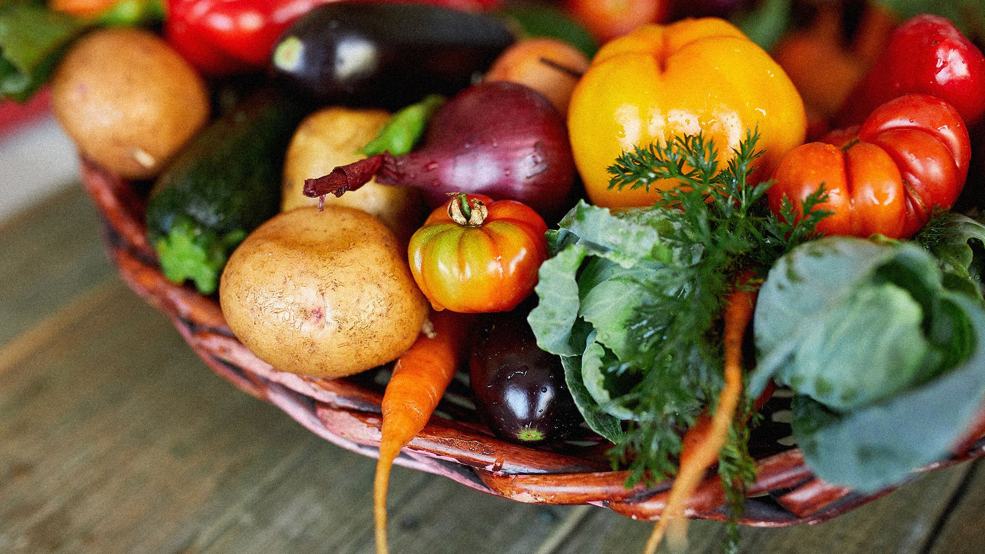Sałata, pomidory i marchew pod lupą - jak rośliny gromadzą farmaceutyki