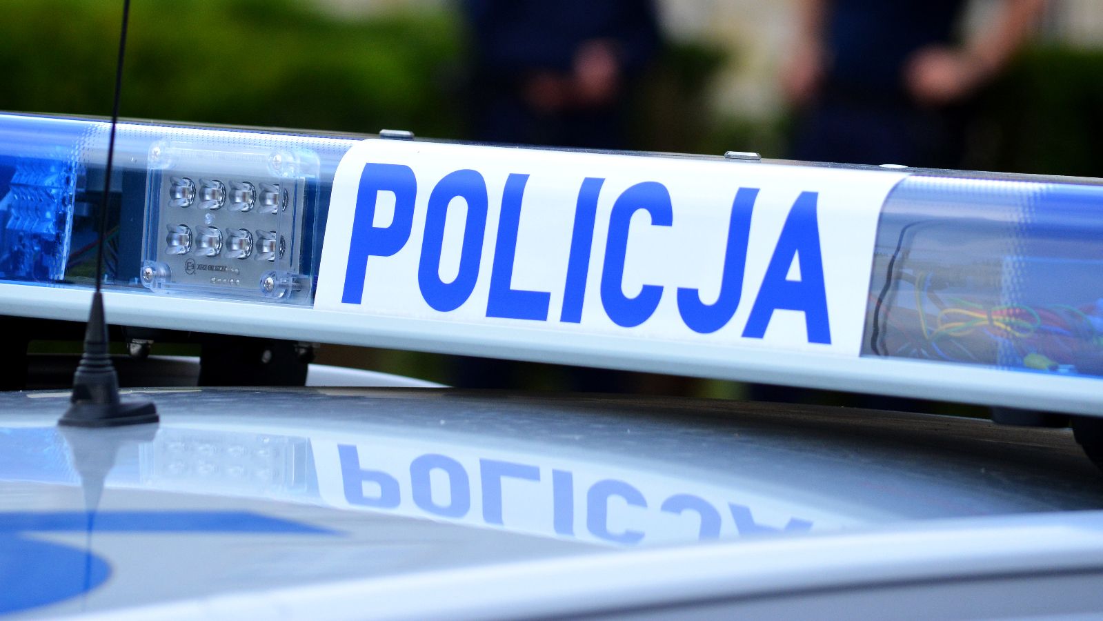 policja