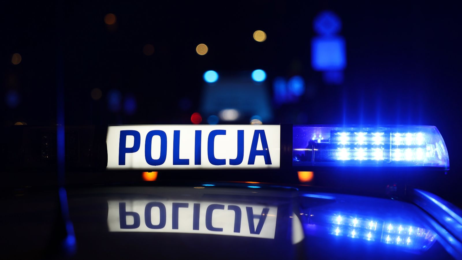 Policja, areszt