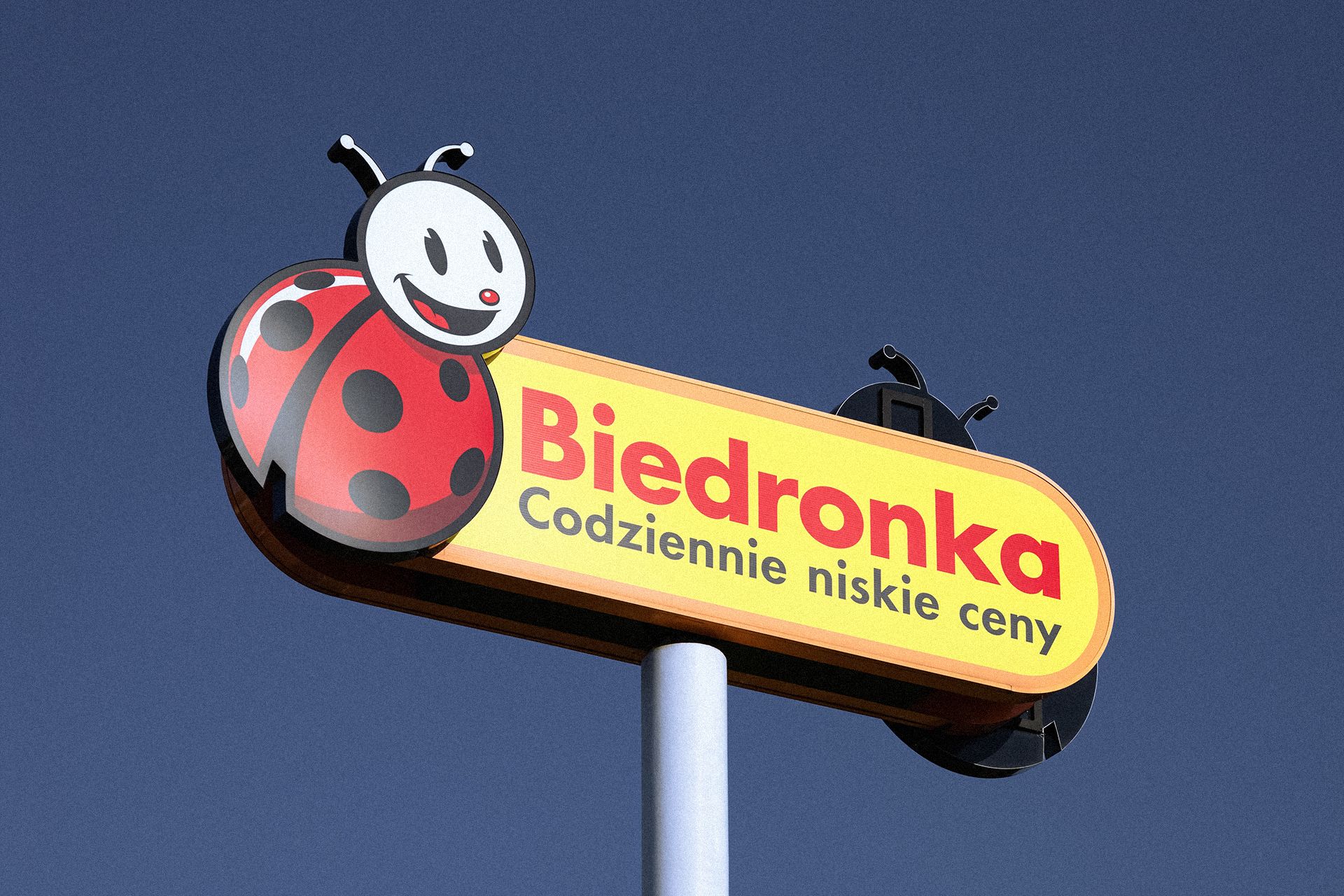 Biedronka wycofuje cebulę czerwoną 0,5 kg - lista partii i co zrobić. Kadm w cebuli