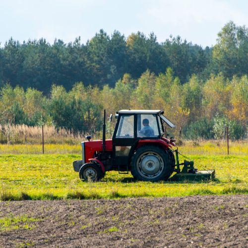 Niepokojący raport GUS. Rolnicy wskazują, co dzieje się w gospodarstwach