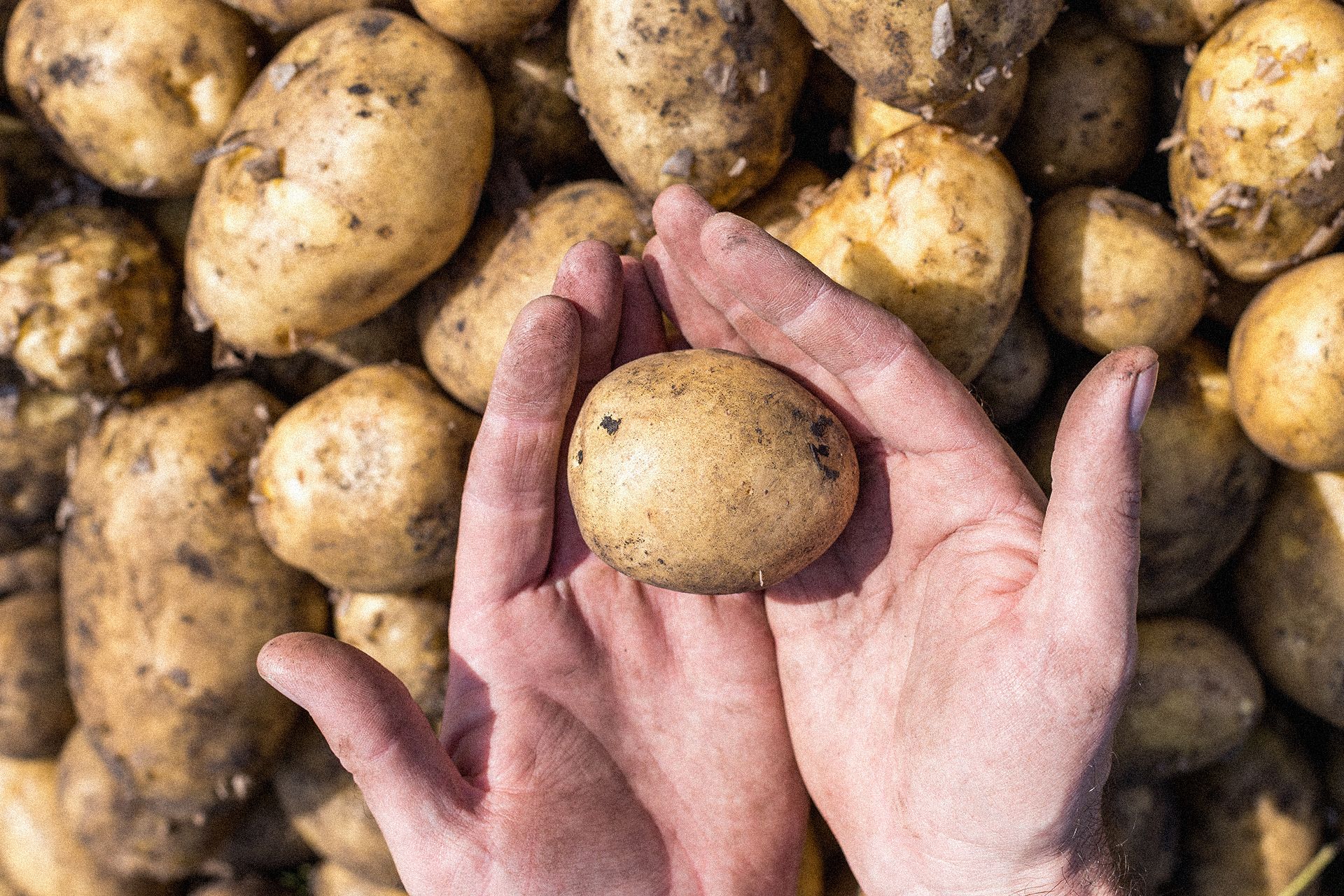 Ten strudel ziemniaczany robi furorę na obiad. Chrupie jak marzenie i ma tylko kilka składników