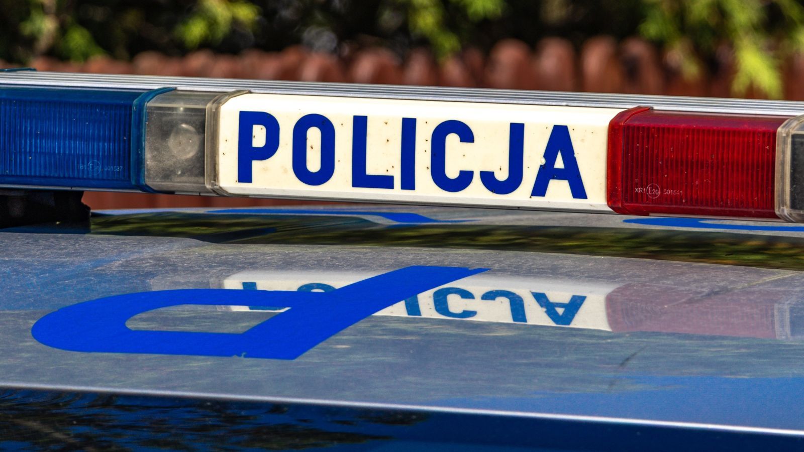 policja, zatrzymanie