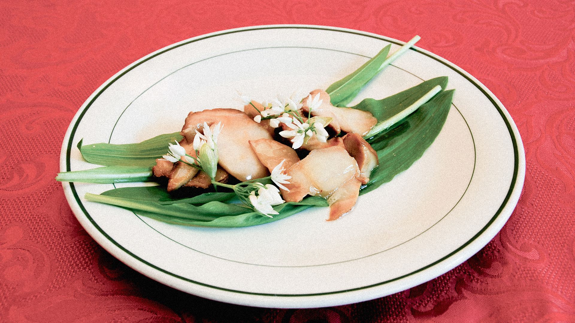 Czy czosnek niedźwiedzi jest zdrowy? Najważniejsze fakty i zastosowanie