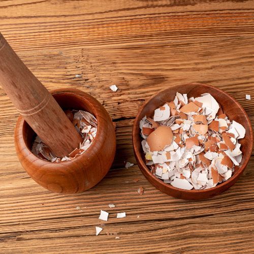 Nie wyrzucaj skorupek, zalej je octem. Szybko rozwiążesz problem w ogrodzie