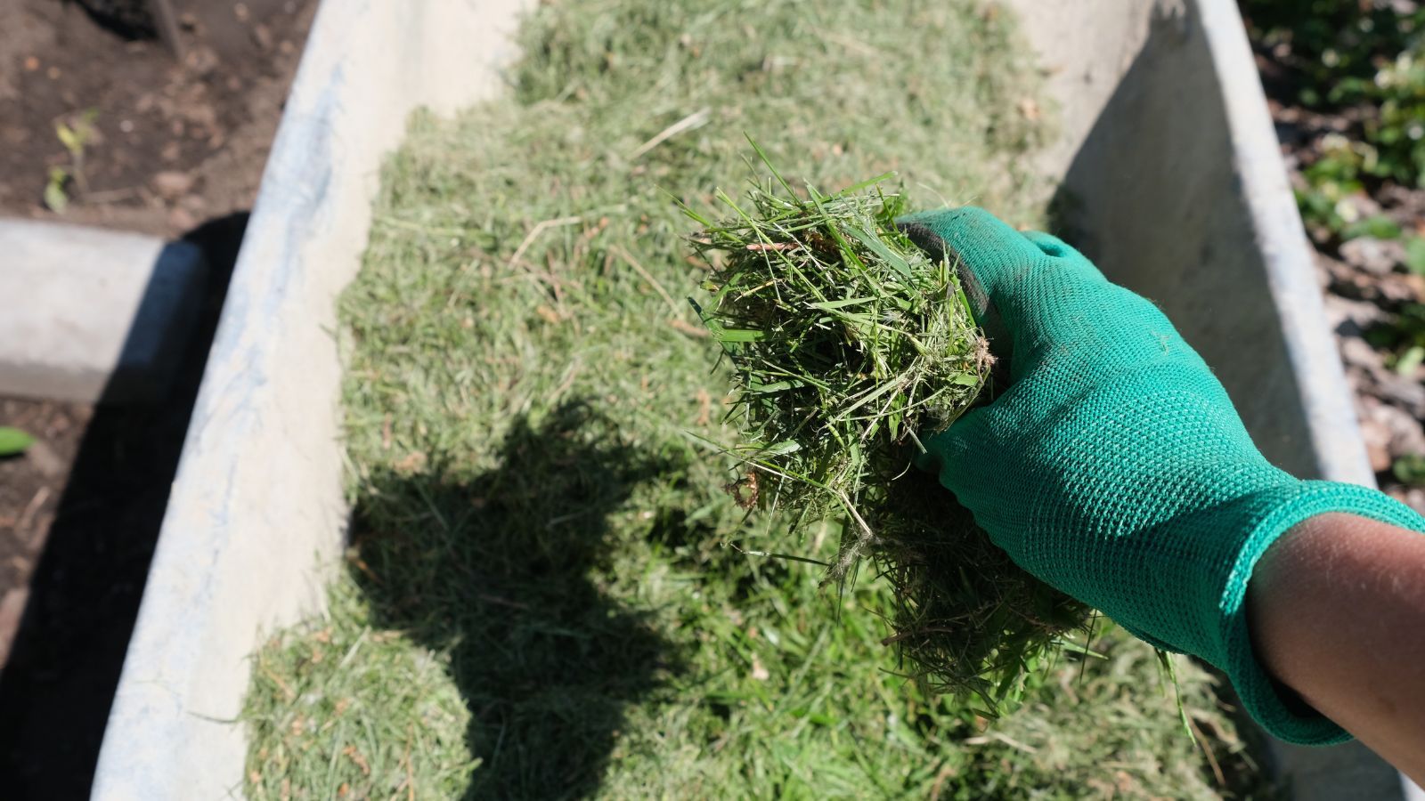 Polacy wciąż popełniają ten błąd podczas koszenia trawy. 500 zł kary to dopiero początek