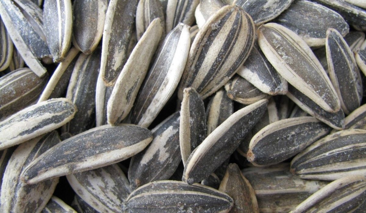 Obniża cukier, łagodzi miażdżycę. Kilka łyżek dziennie, nic więcej