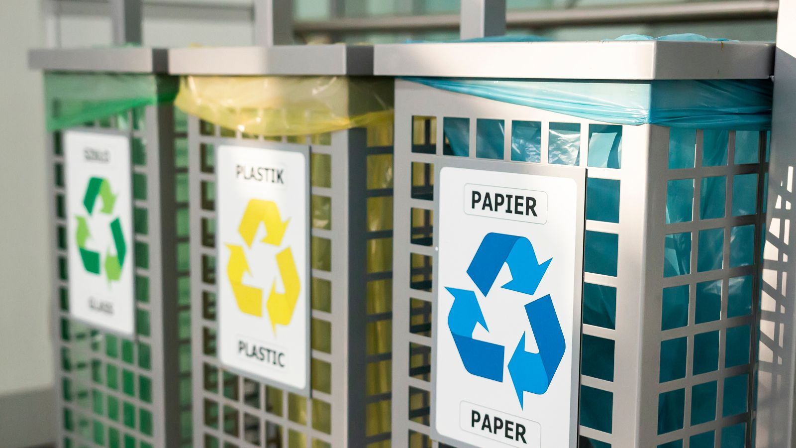 Zasady segregacji śmieci w Polsce. Tego nigdy nie wyrzucaj do niebieskiego pojemnika