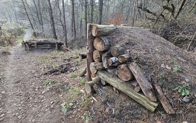 17-latek poszedł na rower, nie żyje. Wstrząsające okoliczności tragedii