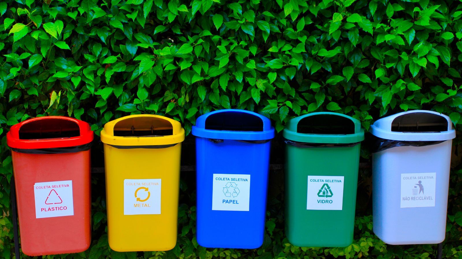 Opłaty za śmieci. W tym przypadku nie trzeba płacić za dziecko, Polacy nie mają o tym pojęcia