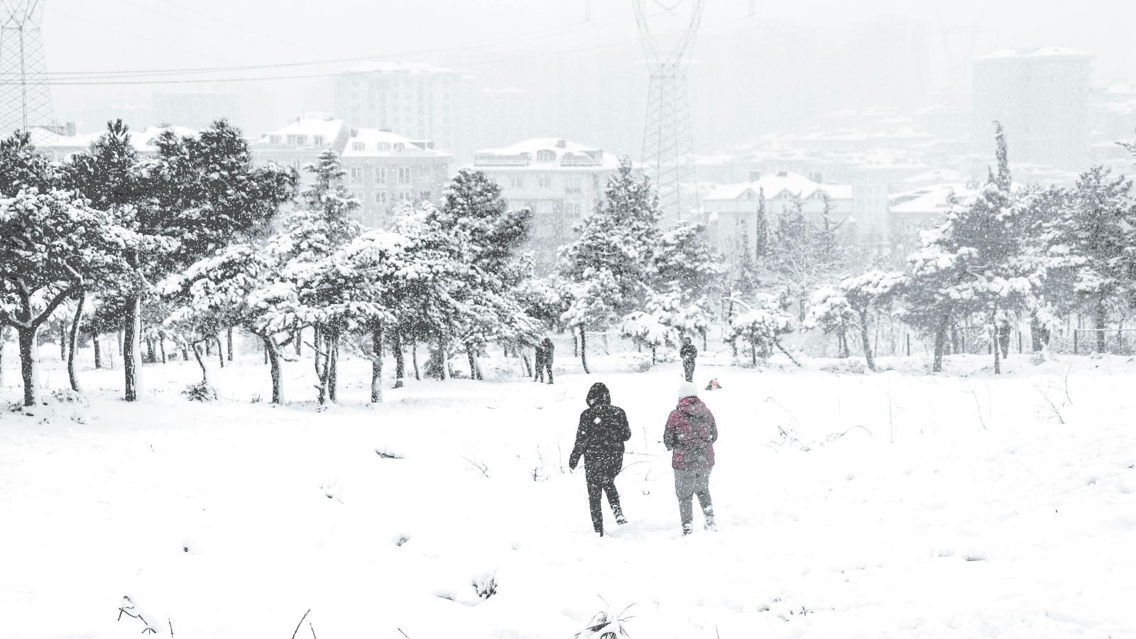 Fala mrozów skuwa Polskę. W te województwa uderzą intensywne śnieżyce, IMGW wskazało datę